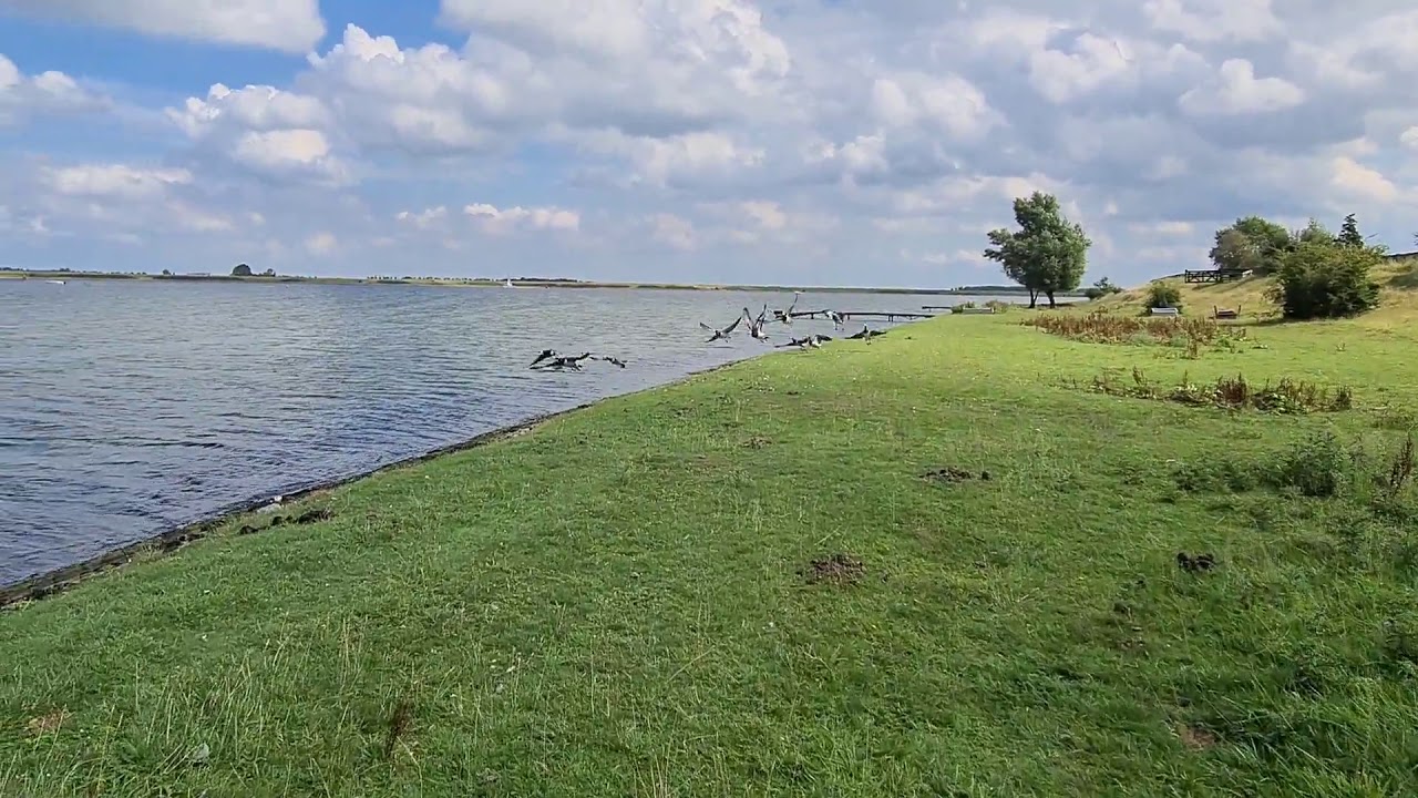 Holland 2020 Wolphaartsdijk. Eine kleine Reise. Zeeland.