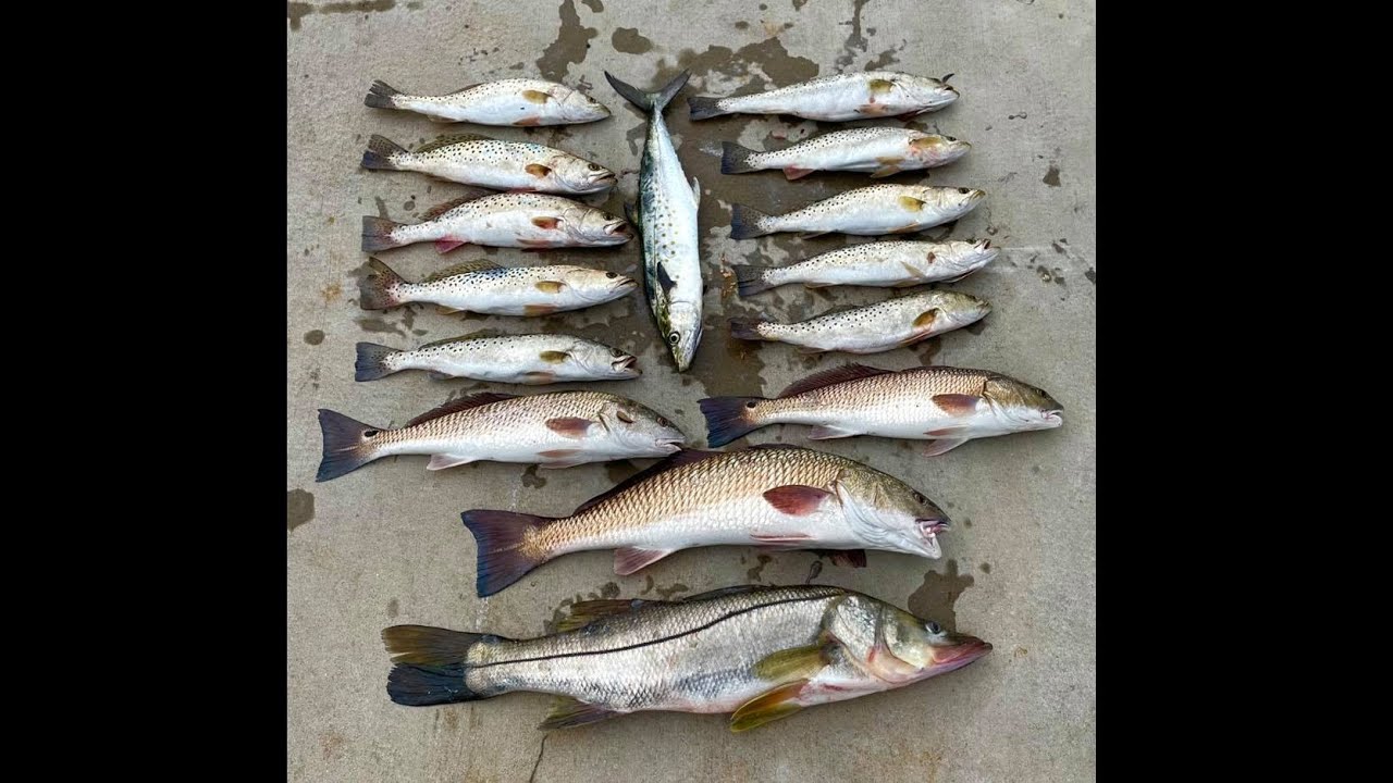 Crystal River/Ozello Slam: How to Catch More Reds, Snook, Trout