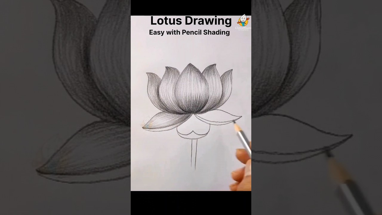 How To Draw Lotus Flower Easy #shorts #lotus #flowers #youtubeshorts #howtodraw #drawing #viral