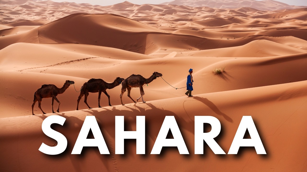 SAHARA: Los Secretos Ocultos del Desierto M&aacute;s Grande del Mundo | Documental