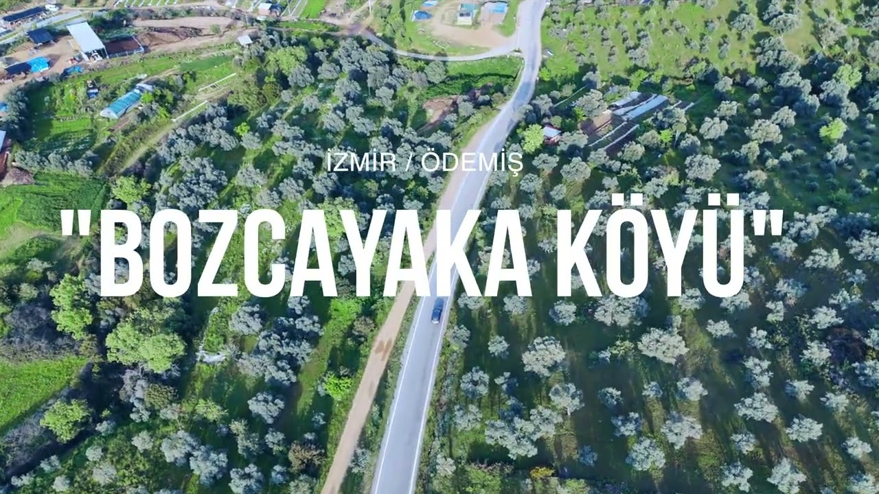 Ödemiş - Çamlıca - Bozcayaka Köyü Yolu