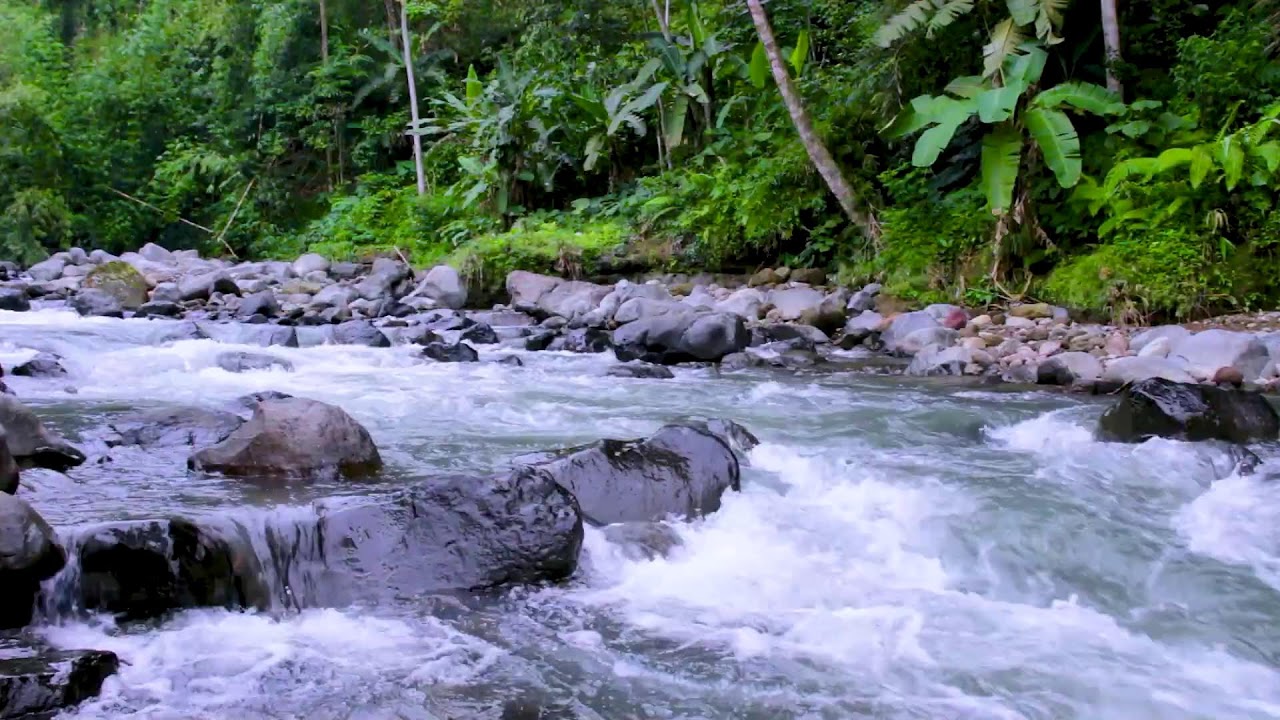 Deep Sleep River Journey | Gentle Flowing Water for Stress Recovery