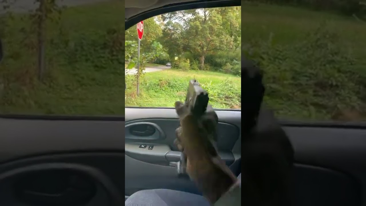 Glock 43 Ets Mag🐺 Will it Jam?🥱#subscribe #shorts #shortsfeed #viral #drivingfails