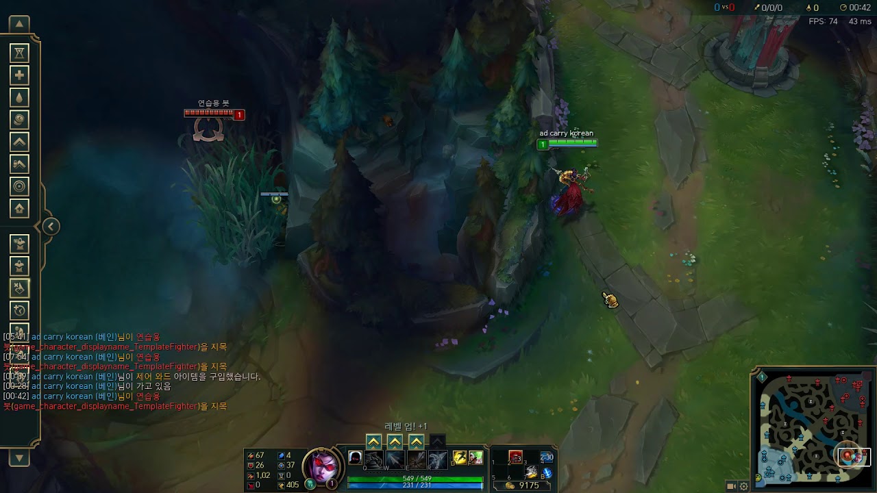 how to ward over the wall in bot lane