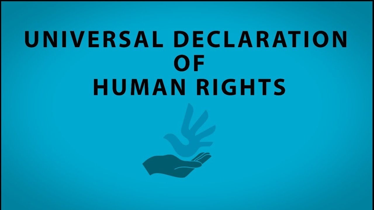 30 Rights in Motion