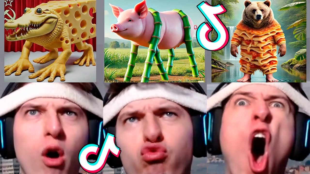 NEW Italian Brainrot Animals 😱 TikTok Compilation (Anatoxich) #53