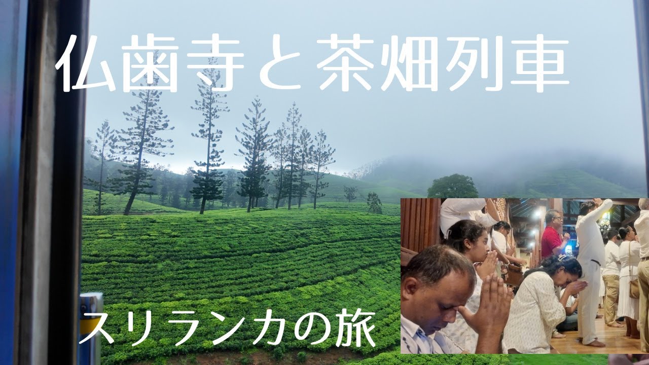 【スリランカの旅5🇱🇰】ブッダの歯を祀る寺と茶畑列車を旅する