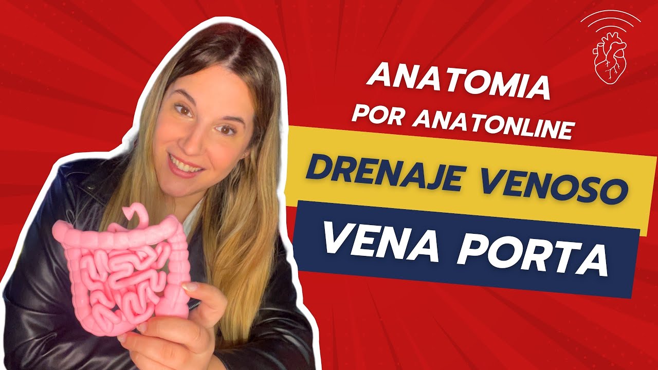 Curso completo de anatomia - Clase 38: Vena Porta