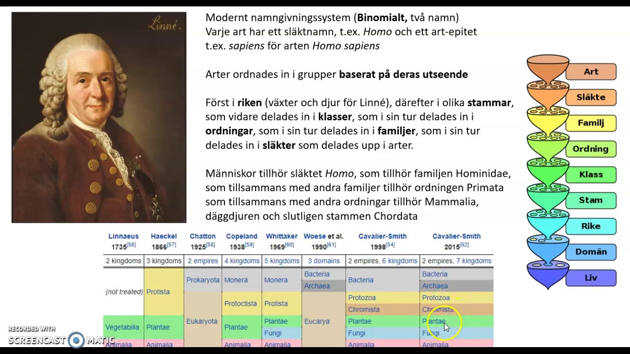Biologi 1, Taxonomi och fylogeni 1