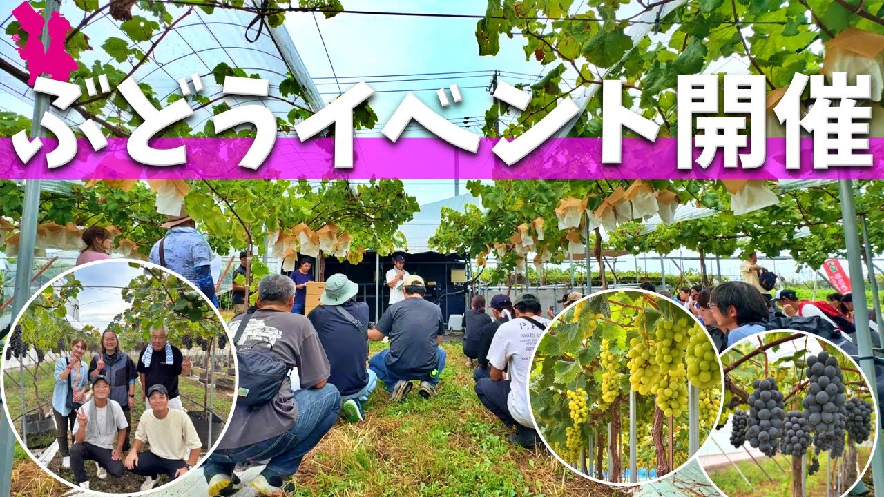 【初開催】ぶどうイベントに全国各地から沢山の人が集まりました！