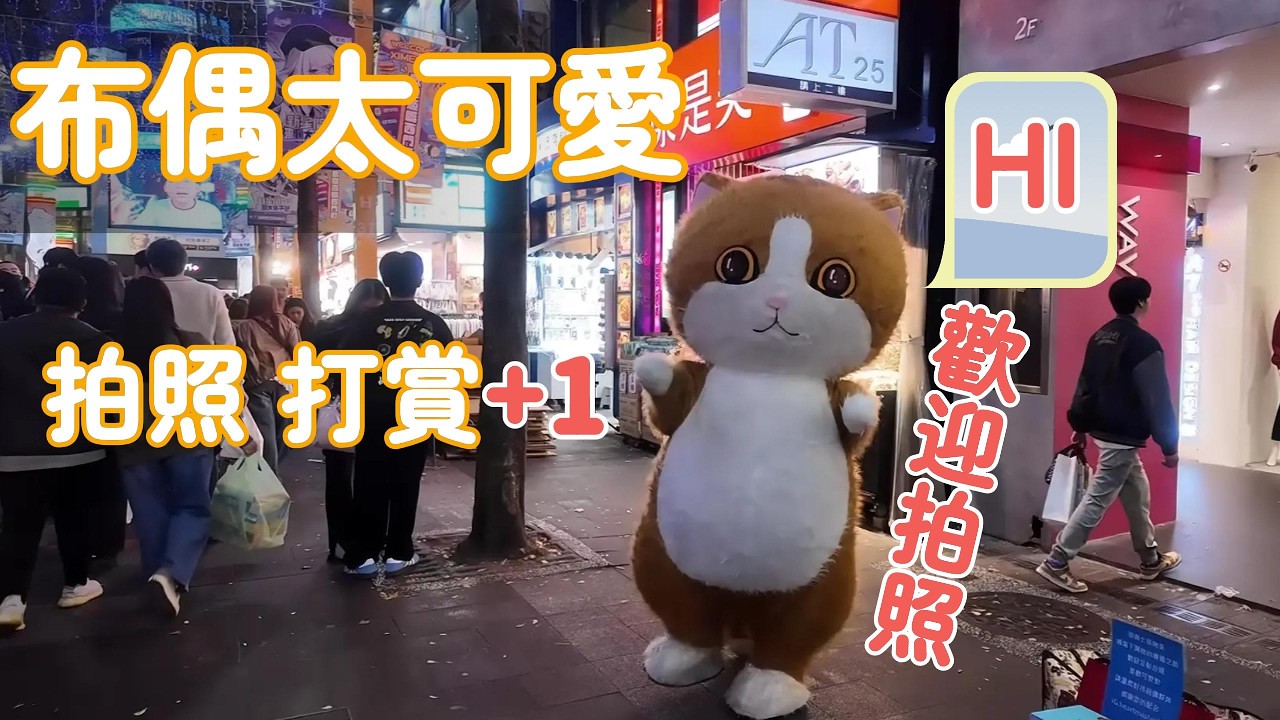 萌到犯規！西門町出現超療癒布偶貓 💗Too Cute to Handle! Adorable Cat Mascot in Ximending