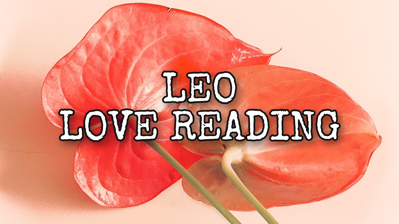 LEO, THIS IS A LOVE OF A LIFETIME | Miss Leo Tarot