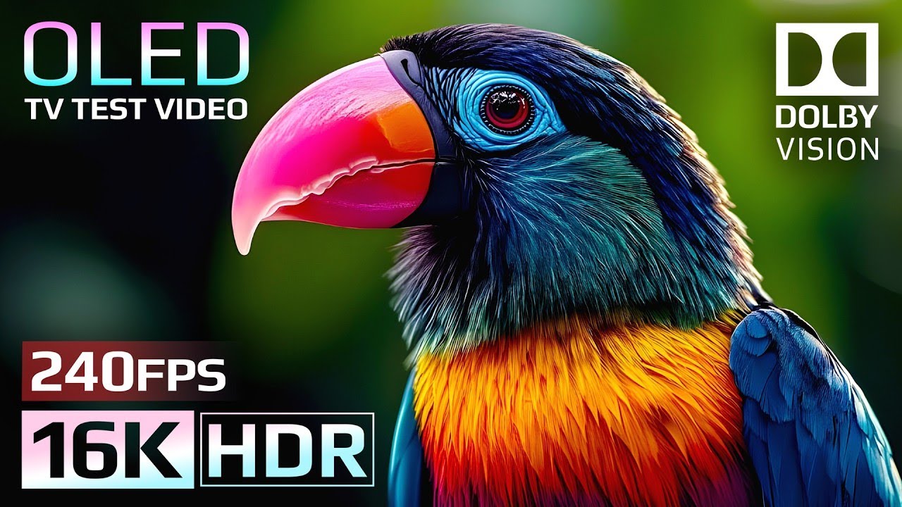 African Wildlife Animals in Ultra HD 🦁 | Real Savannah Animals, Big Cats & Herds Documentary