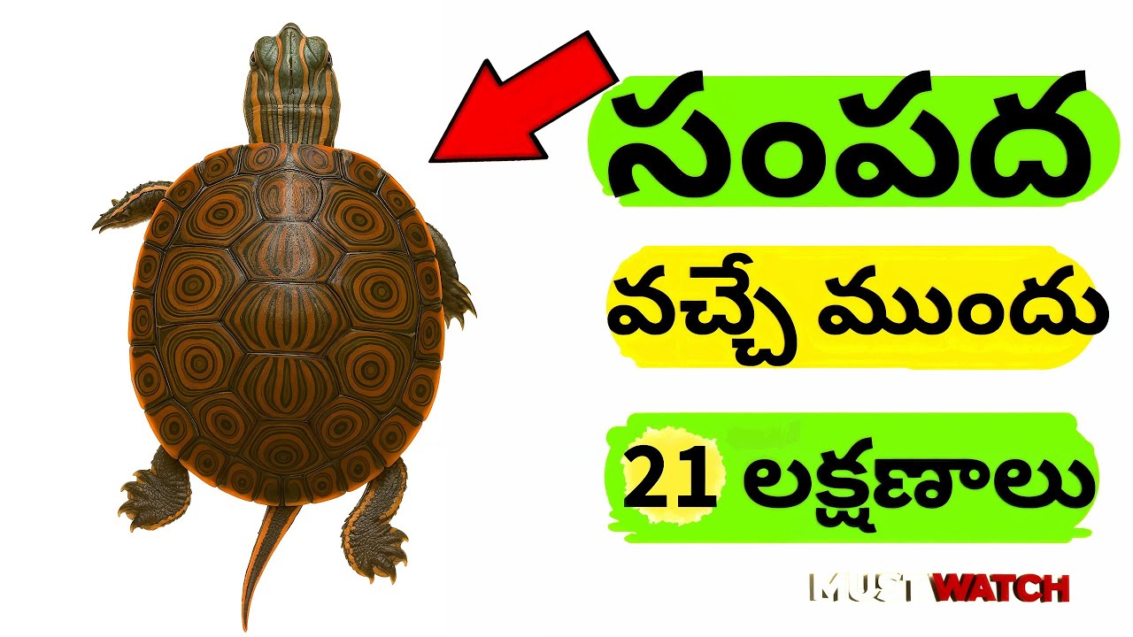 మీరు ధనవంతులు కావడానికి ముందు చూసే 21 సంకేతాలు #దేవుడు #astrology #god #lakshmipuja #తెలుగు #భక్తి