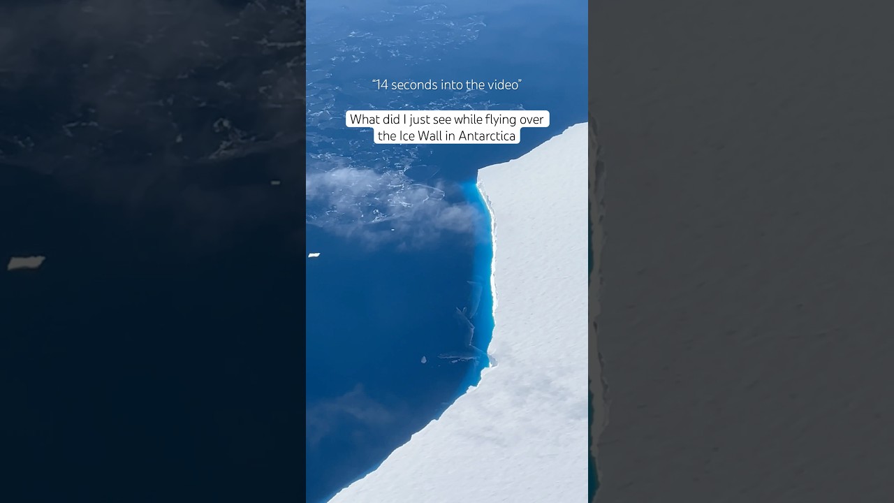 I know what I saw at the 14 sec mark 😮 #antarctica #frozen #icewall #leviathan #iceshelf #icesheet