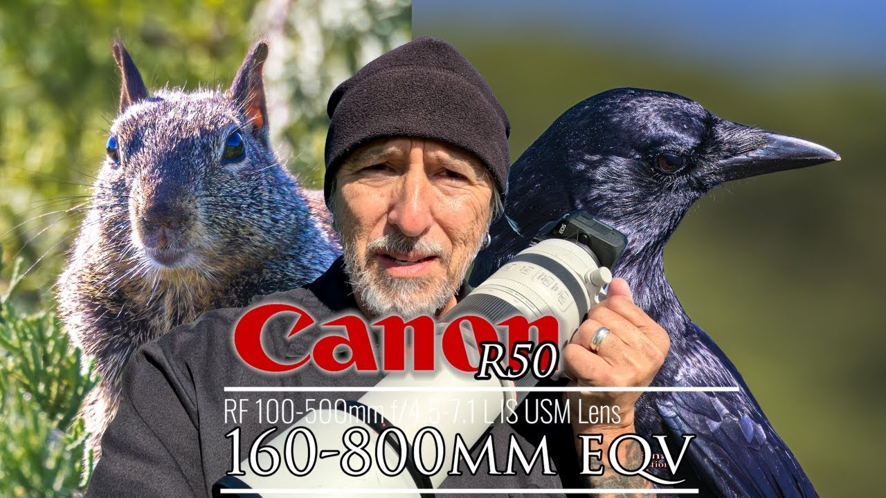 Фотосъемка дикой природы с помощью Canon R50? Это действительно намного удивительнее, чем вы дума...