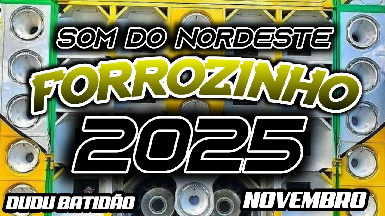 FORROZINHO 2025 PAREDÃO LAPADA ATUALIZADO 2025 CD NOVO SELEÇÃO 2025 #nordeste #piseiro #forrozin