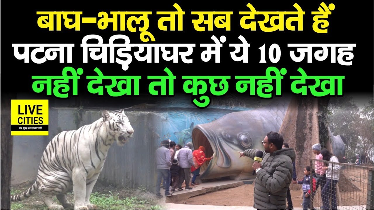Patna Zoo में Top 10 शानदार जगह, Dolphin, Hill, Waterfall भी है ! Bihar News