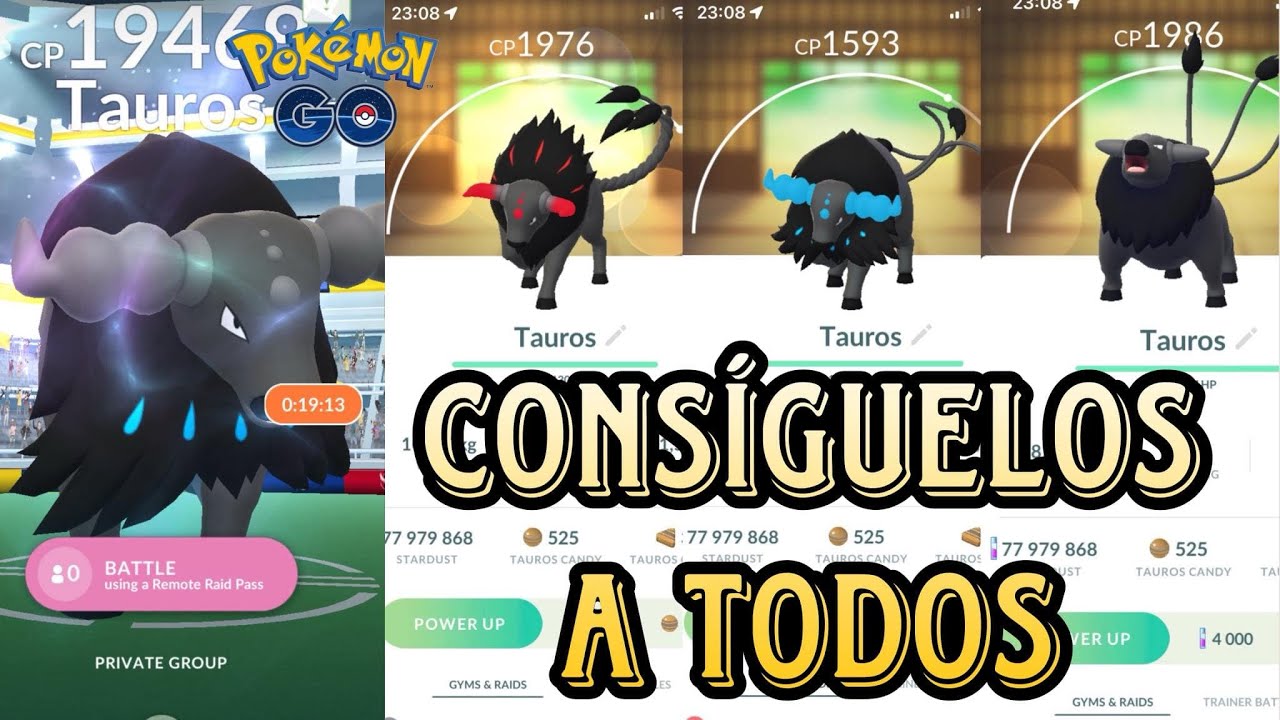 COMO CONSEGUIR A TODOS LOS TAUROS DE PALDEA en POKEMON GO