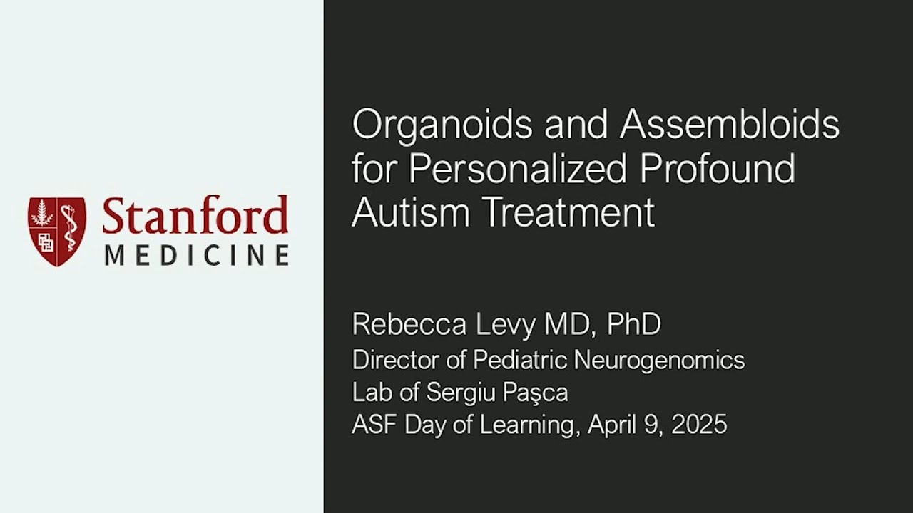 Assessing the value of organogenesis and assembloids in personalizing autism treatments