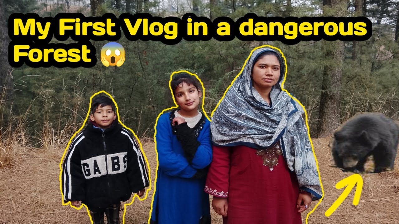 My first vlog in a dangerous forest | My first vlog 😱😱😱