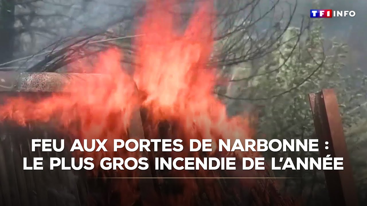 Feu aux portes de Narbonne : le plus gros incendie de l’année｜TF1 INFO