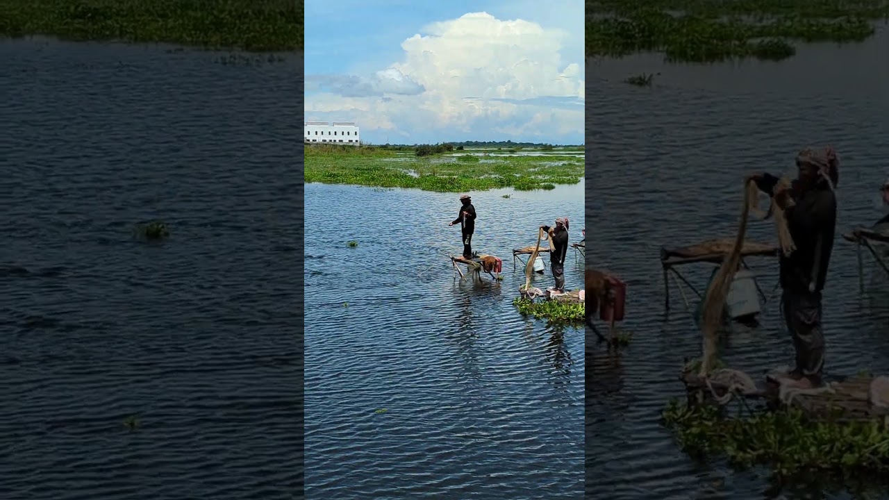 How to catch fish fishing traditional technique 