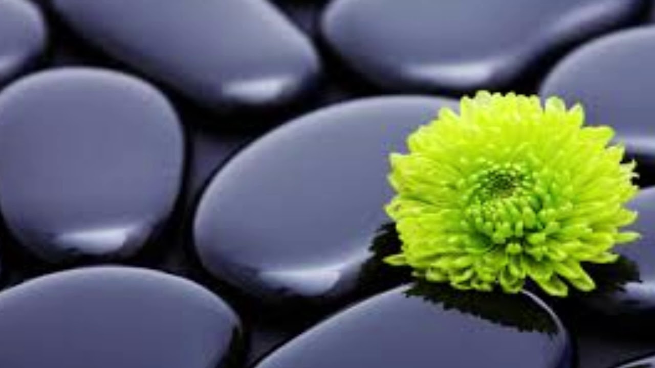 TERAPIA DE SONIDOS, CEREBRO SANO, MEDITACI&Oacute;N PROFUNDA Y RELAJACI&Oacute;N