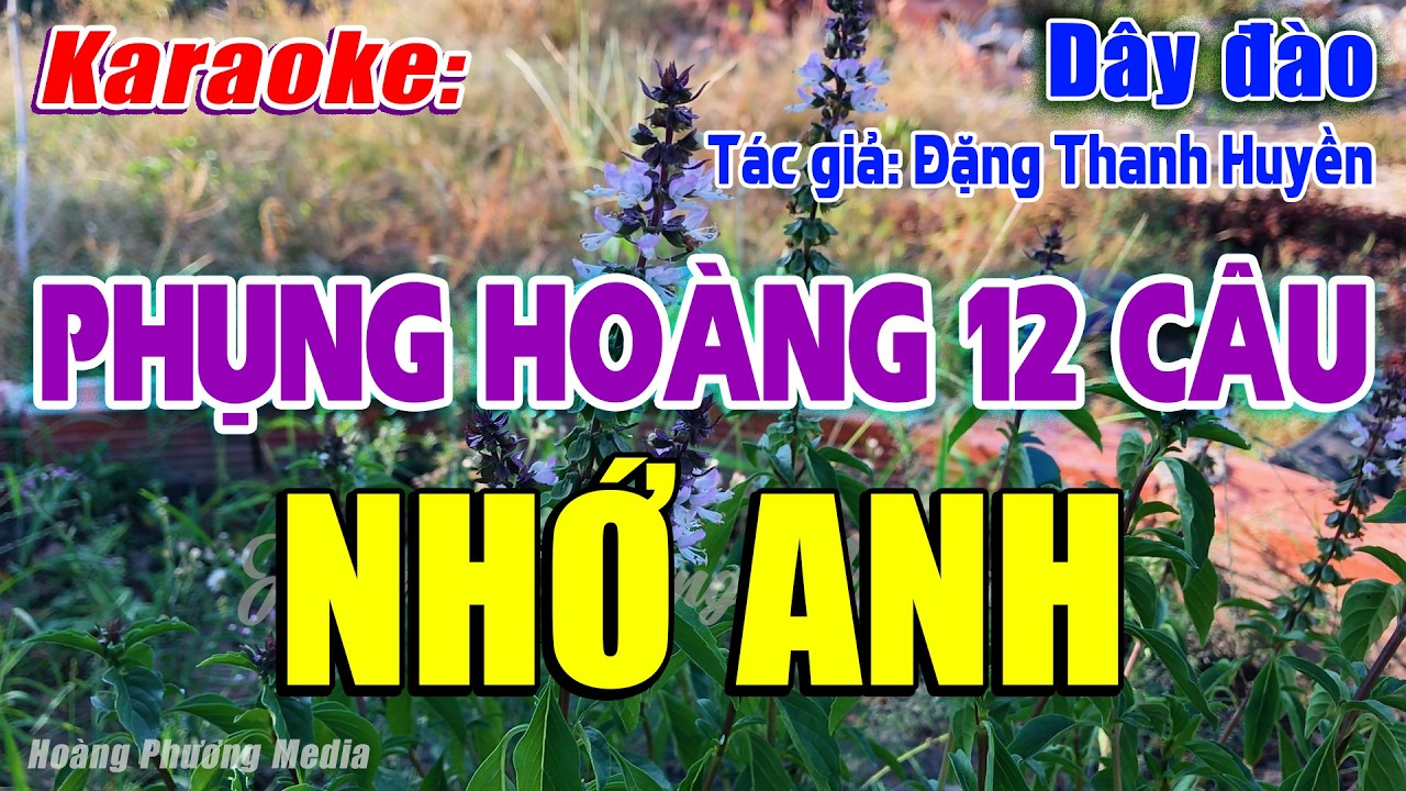 Karaoke Phụng hoàng 12 câu Nhớ Anh (Dây đào) | Beat Mới Rất Buồn, Mùi, Dễ Hát – Hoàng Phương Media