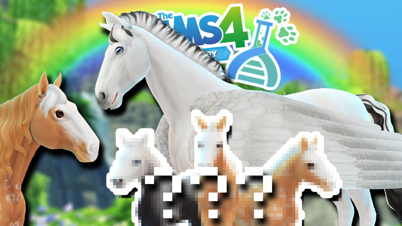 WINGED Horses?! Pegasus Genes Fly Into the LaBARKatory!! 🦄💕🧬🐴