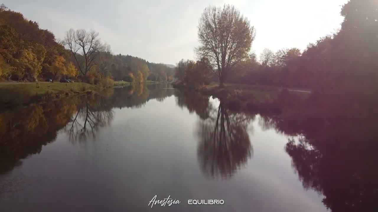 Mass Digital - Guest Equilibrio