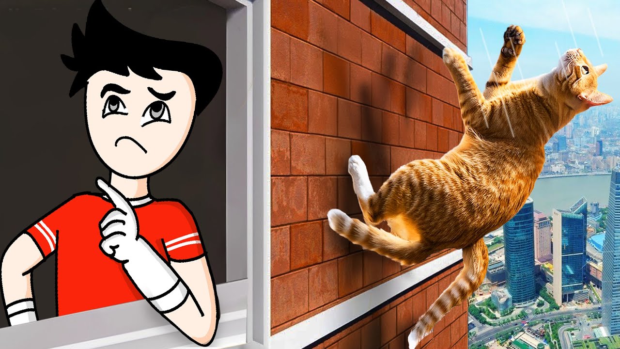 THE BEST CAT FALLING GAME!