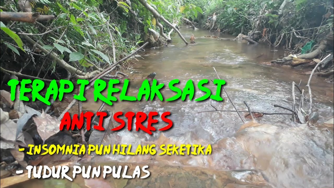 relaksasi suara gemericik air sungai mengalir | sumber air su dekat