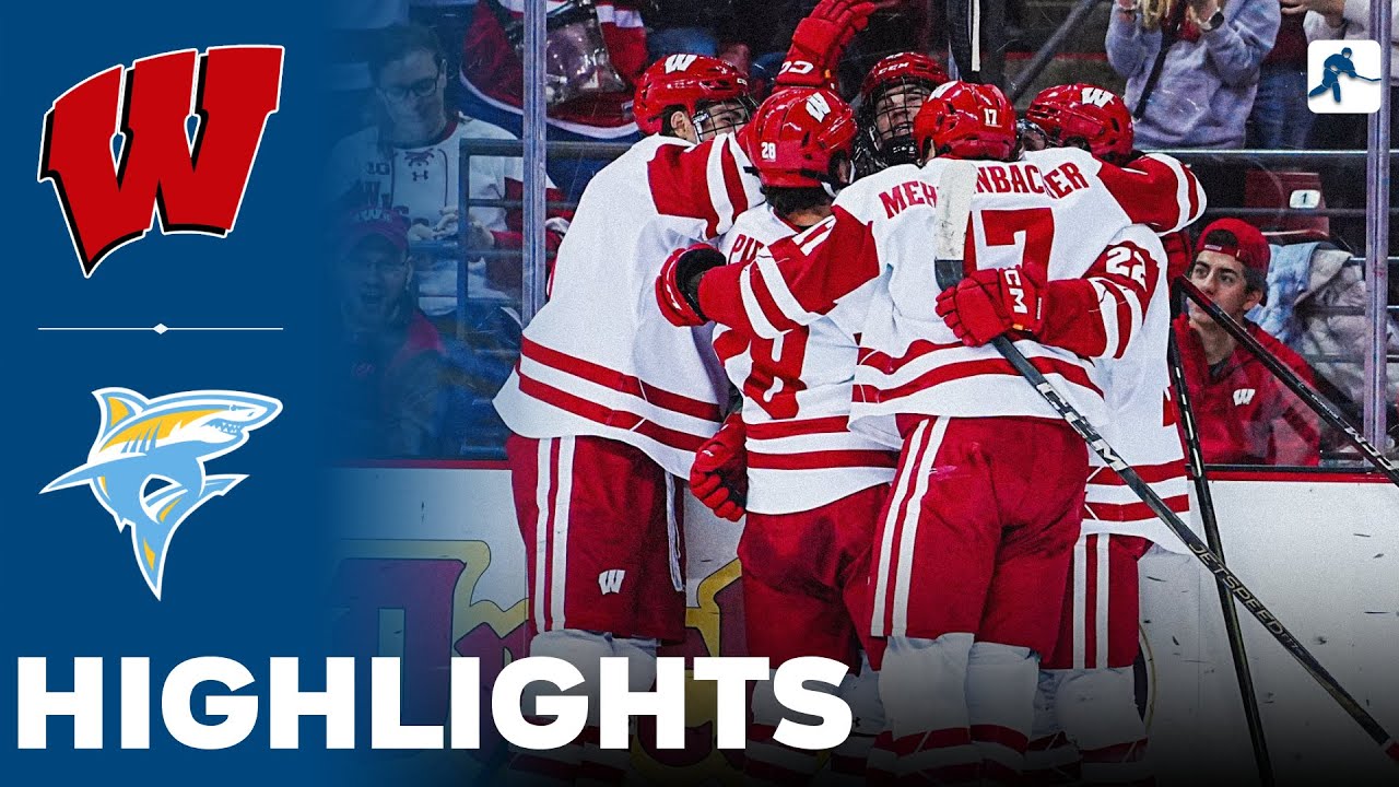 Wisconsin vs Long Island | NCAA College Hockey | Highlights - January 18, 2025