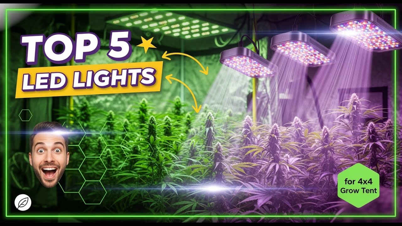 TOP 5 Best LED Light For 4x4 Grow Tent 2026