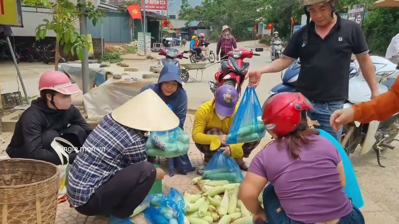 How to Make Sugarcane Sugar to Sell at the Market - Daily Life