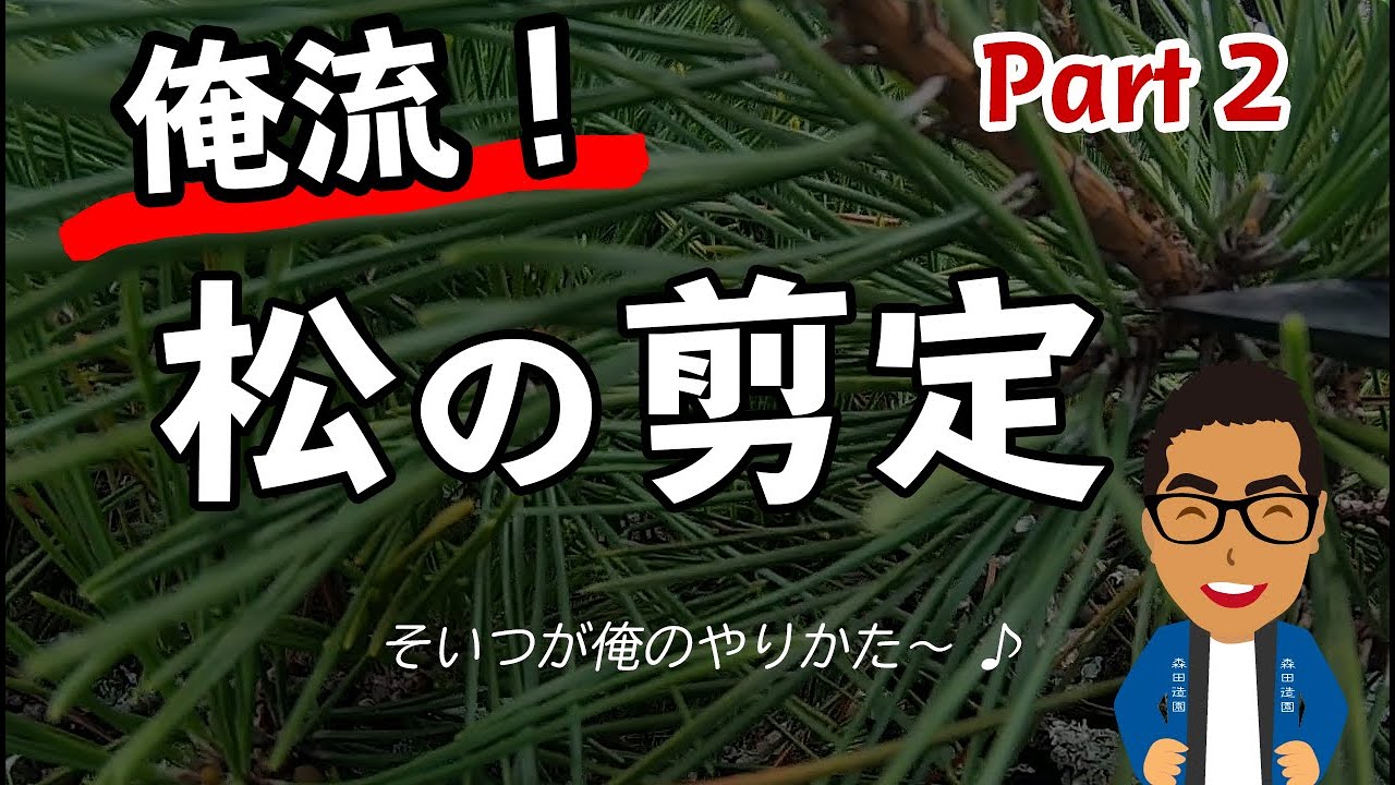 植木屋が語る松の剪定手順と考え方｜剪定スタイルに正解はない？【実演＋解説付き】