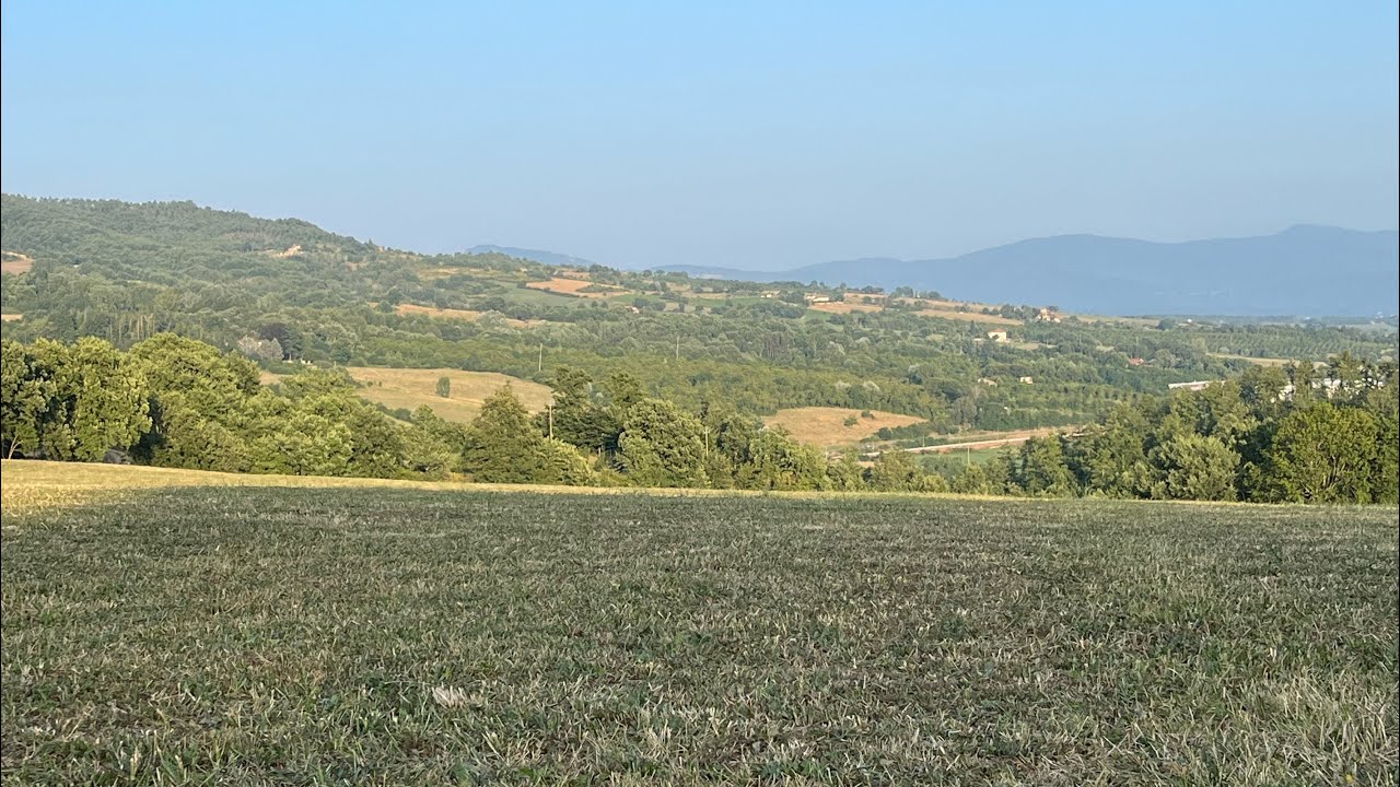 Angelo Branduardi sotto il tiglio 2023 Pieve di Romena