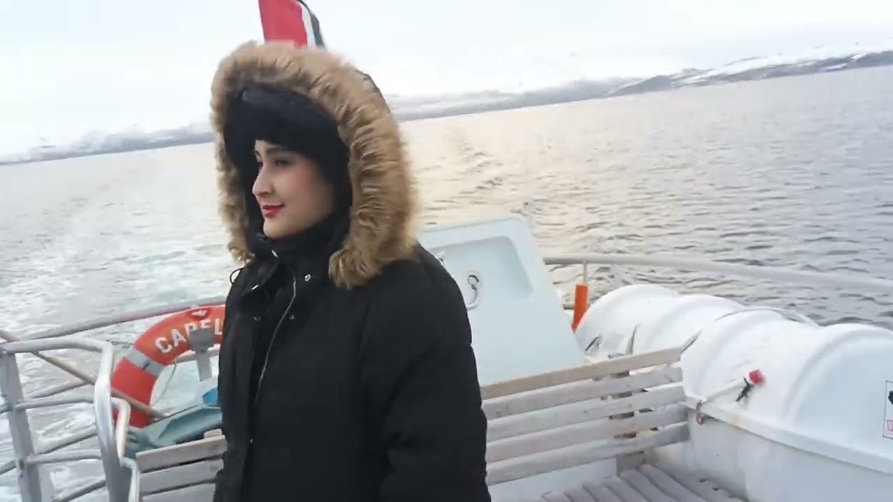Arctic Magic ❄️ | Tromsø Boat Ride 🇳🇴 #Shorts