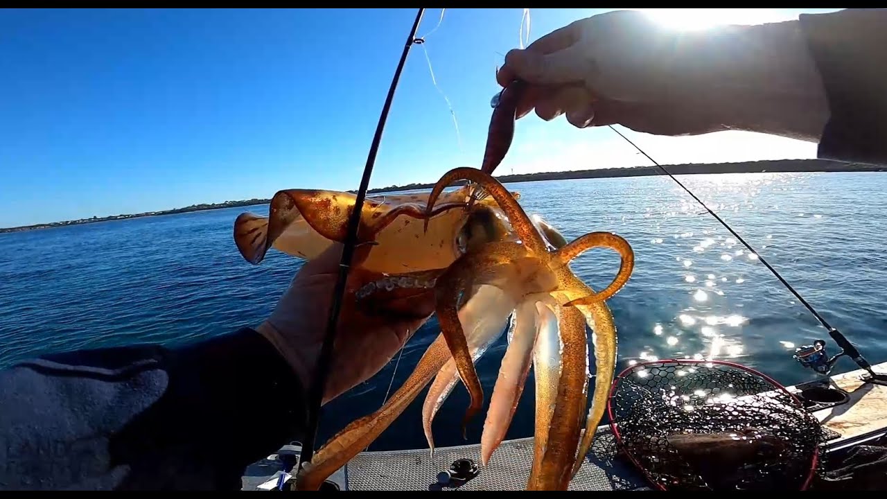 INSANE Squid Fishing in Australia