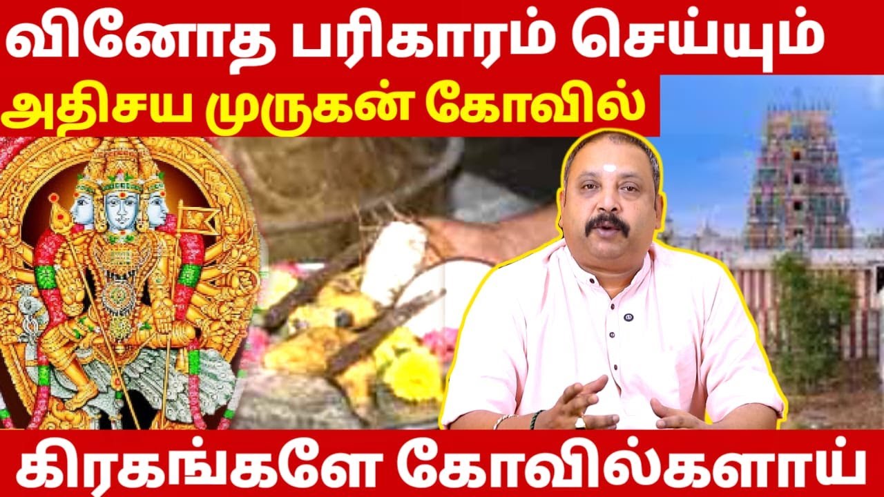 வினோத பரிகாரம் செய்யும் அதிசய முருகன் கோவில் | Astrology in Tamil | Viralimalai Murugan Temple