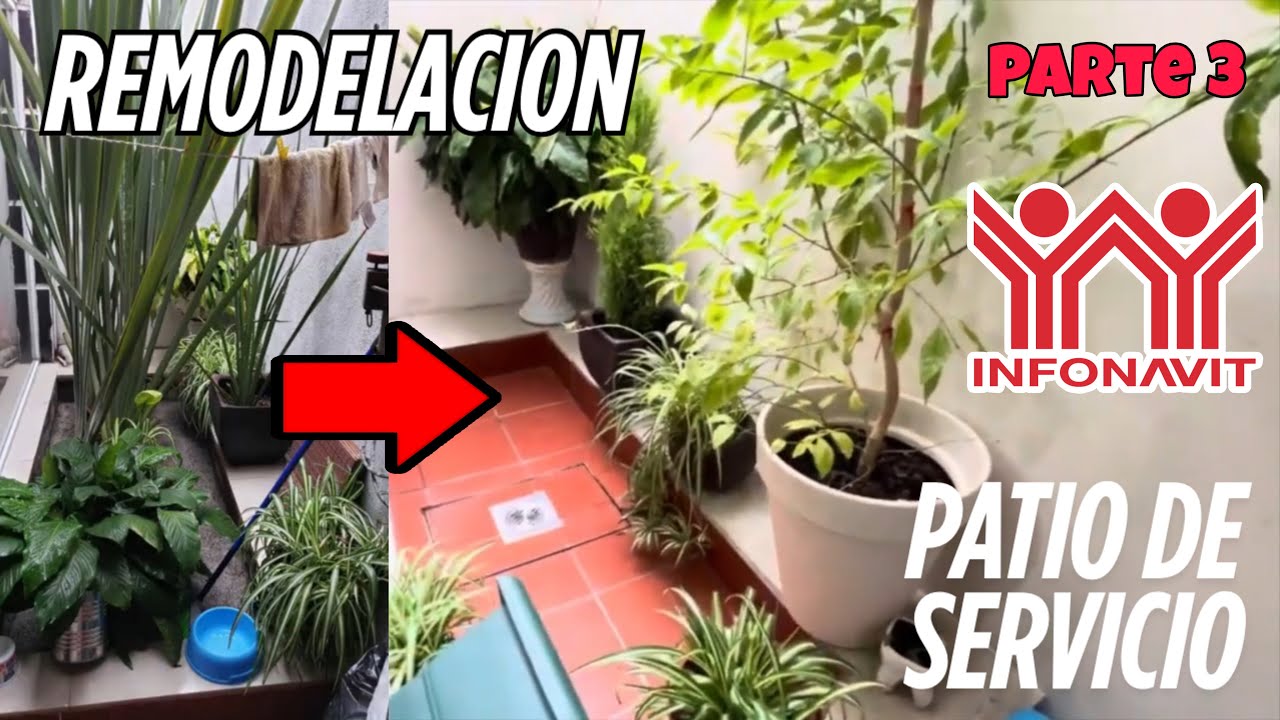 Remodelación de mi PATIO de servicio | Casa INFONAVIT 🏡🪴✨💫
