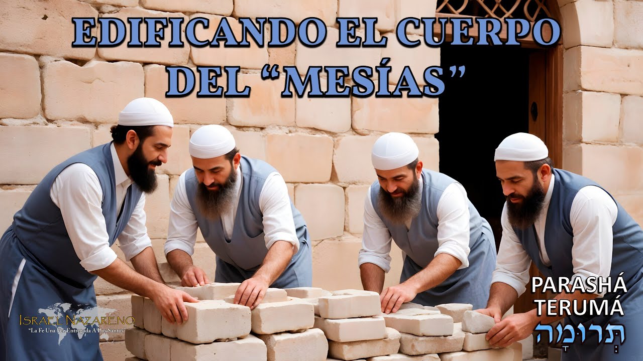 Parashá Terumá 2024 - Edificando el Cuerpo del 