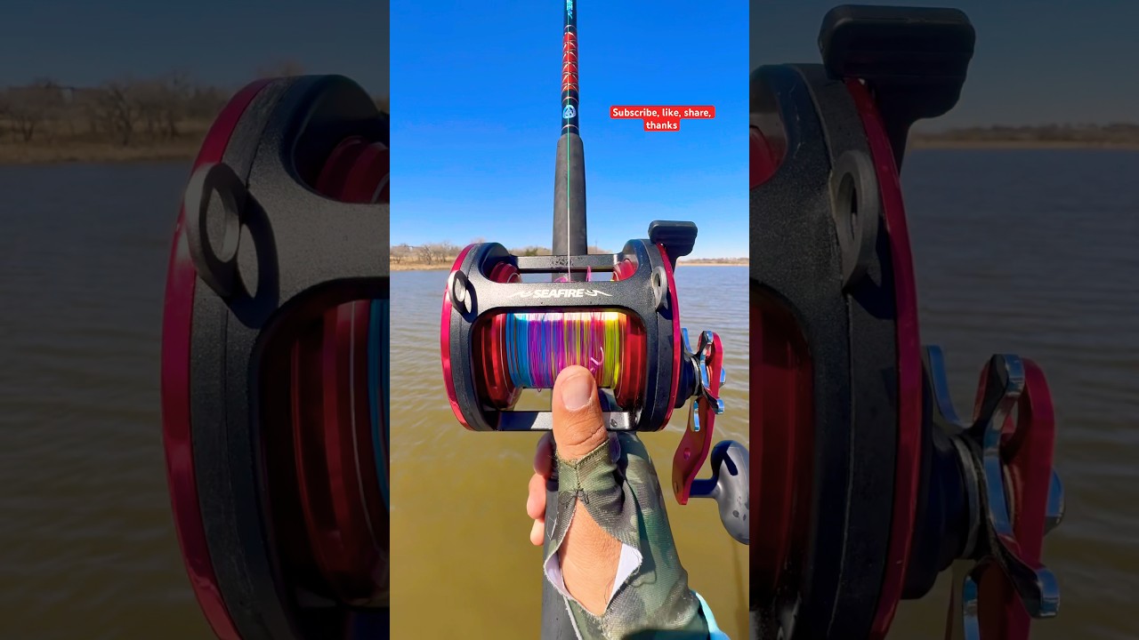 Casting a Seafire with a Hlide Bait for Monster Fish#fishing#viralvideo#shortvideo#youtubeshorts