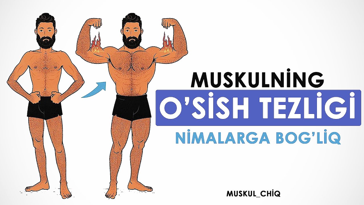 Muskulning o'sish tezligi nimalarga bog'liq?