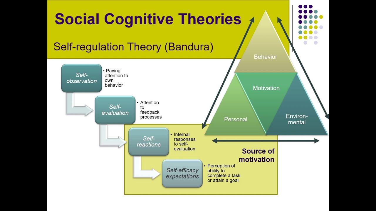 IO Psychology 9.3: Self Regulation