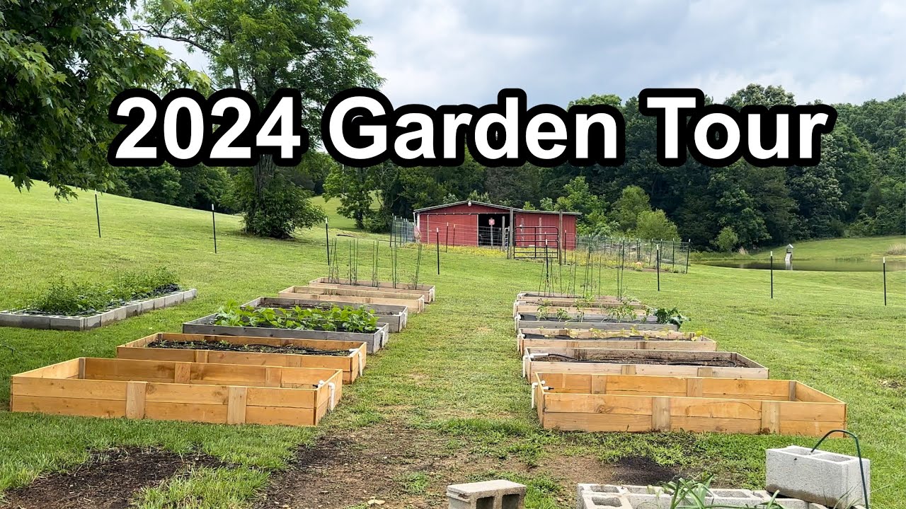Vegetable Garden Tour June 2024