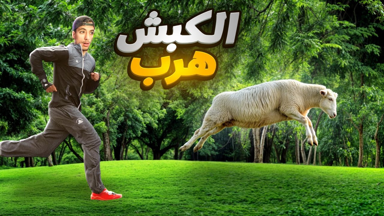لكبش تاعنا هرب 🤦🏻‍♂️