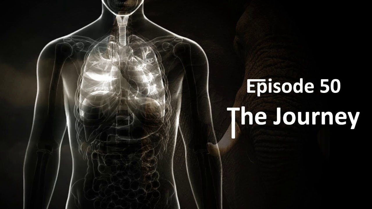 Episode 50: Animorphs: The Journey