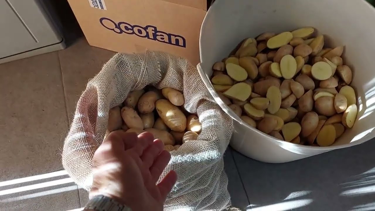 Como cortar las patatas de siembra
